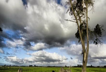 天涯神贴预测股市：那些论坛上的奇人奇贴和股市预言