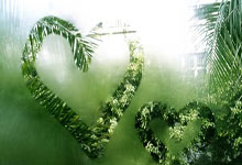 天涯神贴预言楼市截图火遍网络