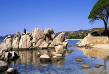 天涯神贴：十年经济冷暖，恍如昨天！守破立大法在线开讲！